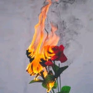 Meet your Posher, Juan